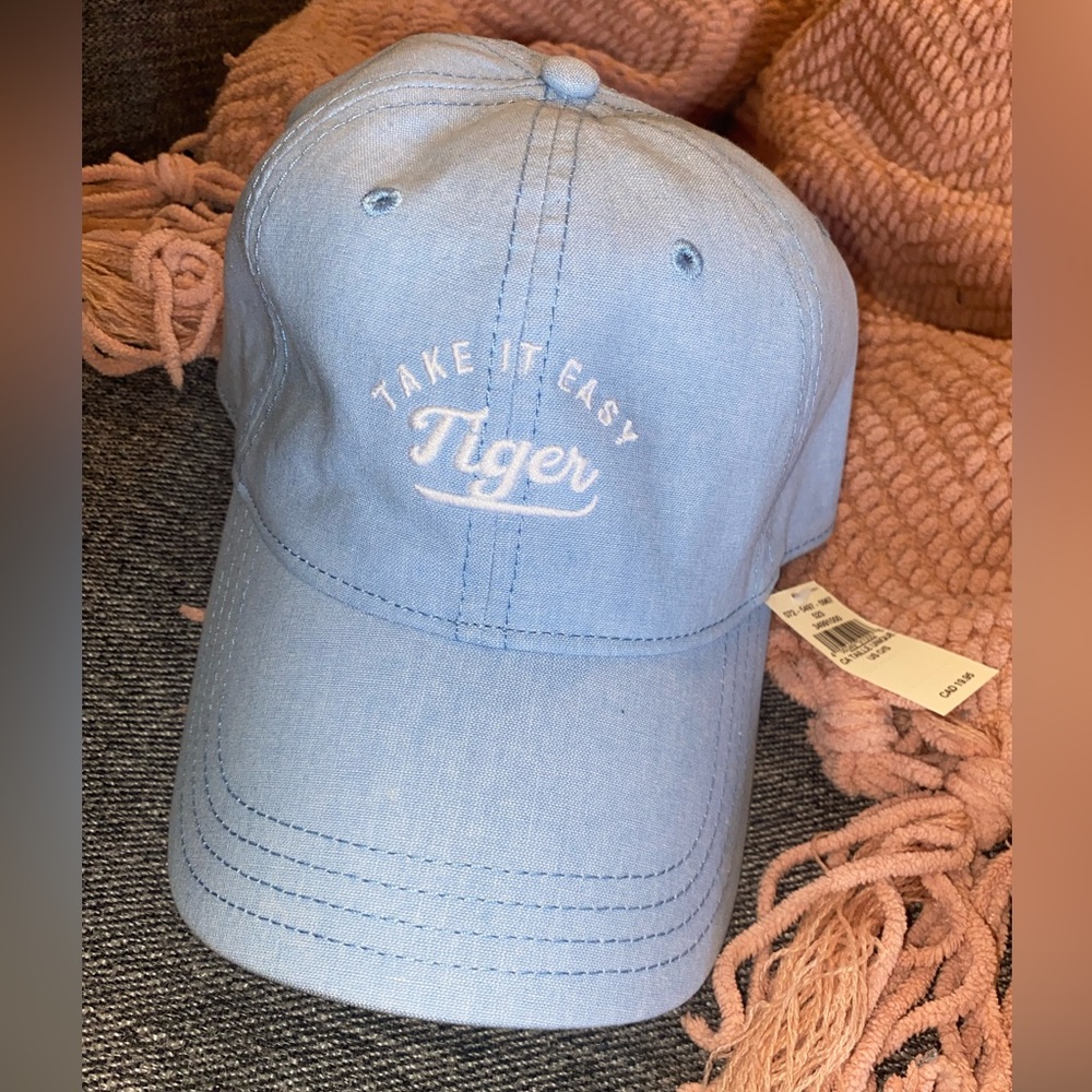 2/$25 Aerie ‘Take It Easy Tiger’ Baseball Hat NWT